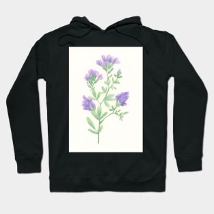 Alfalfa Hoodie